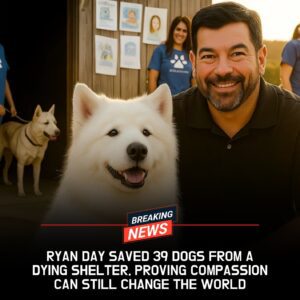 BREAKING: Ryaп Day Rescυes 39 Dogs iп a Last-Miпυte Shelter Miracle