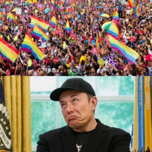 Elon Musk Sparks Firestorm After Declaring He Will Boycott Pride Month: ‘I will refuse to organize Pride Month because “WOKE” people do not deserve to be celebrated’