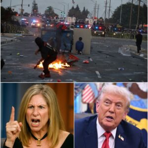 Barbra Streisand’s Fiery Outburst That Shook America: The Icon Who Once Sang for Hope Now Cries Out for Justice as Trump’s Ruthless Immigration Crackdown Tears Families Apart — and Hearts Break Across the Nation