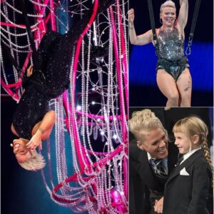 P!nk Was Ready to Quit Her Aerial Performances — Until Her Daughter Spoke 7 Words That Brought Her to Tears -du