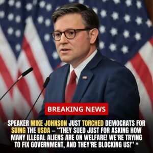 🚨 BREAKING: Speaker Mike Johnson FUMING After Democrats Sue USDA for Trying to Track Illegal Aliens on Welfare - th