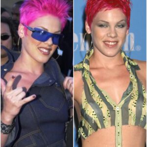Five Studios Told Her She’d Never Make It — ‘Too Rebellious,’ They Said. But P!nk’s Grit, Honesty, and One Bold Hair Color Changed Music Forever. -du