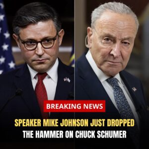 Speaker Mike Johnson Just Dropped the Hammer on Chuck Schumer 😳 - th