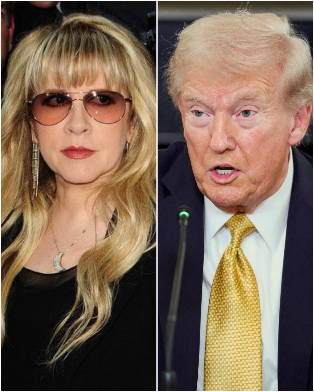 Stevie Nicks Confronts Donald Trump After He Plays ‘Edge of Seventeen’ at Rally — ‘That Song Is About Survival, Not Division’ -du