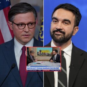 Mike Johnson Seizes on Zohran Mamdani’s NYC Meltdown: When Populism Meets Policy Reality - th
