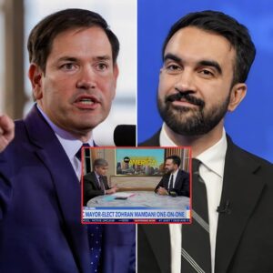 🔥 Marco Rubio SLAMS Zohran Mamdani’s ‘Trump-Proof’ Plan: “A Classic Case of Ideology Over Reality” 💥 - th