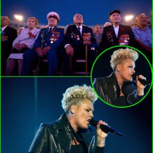 “She Didn’t Sing for Fame — She Sang for Them: P!nk’s Tearful Tribute to Wounded Veterans at the Lincoln Memorial Leaves 200,000 People in Tears” -du