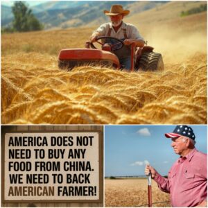 America Is Starving on Its Own Soil: The Hidden War to Take Our Food, Our Farms, and Our Freedom Back -du