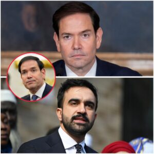 MARCO RUBIO DEMANDS FULL-SCALE DOJ PROBE INTO MAMDAÑI’S 2,184-VOTE MAYORAL CLIFFHANGER: “PROVE THOSE BALLOTS ARE CLEAN — OR HAND OVER GRACIE MANSION!” - th