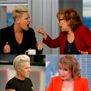 P!nk Explodes on The View: Joy Behar Screams, Ana Navarro Clashes, and Live TV Melts Down in Unforgettable Walk-Off -du