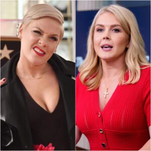 🔥 P!NK Schools Karoline Leavitt Live on MSNBC: “Sit Down, Baby Girl” Sparks Social Media Frenzy -du