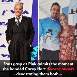 Pink Reveals Heartbreaking Divorce Moment That Shocked Fans—and Sparked the Rock-Bottom Realization That Saved Her Marriage -du