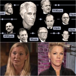 P!NK IGNITES HOLLYWOOD FIRESTORM: SLAMS “SHADOW POWER BROKERS” WHILE DEFENDING VIRGINIA GIUFFRE IN EXPLOSIVE PUBLIC STATEMENT -du