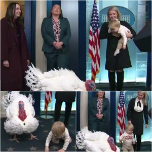 Adorable Chaos in the White House: Karoline Leavitt’s Son Steals Thanksgiving Spotlight During Turkey Pardon Ceremony -du