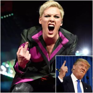 P!nk Calls MAGA an “Insult to Humanity” and Declares: “If You Support Trump, Don’t Listen to My Music -du