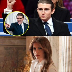 The Night Barron Trump Broke His Silence and Shattered the Family Myth: The Explosive Confession That Exposed the Heart, the Fury, and the Hidden Power Behind the Trump Empire - pm