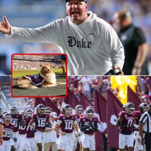 BREAKING: Mike Elko Erupts After Texas Bans Reveille, Sparking Nationwide Aggie Outrage and Cultural Firestorm - tuta