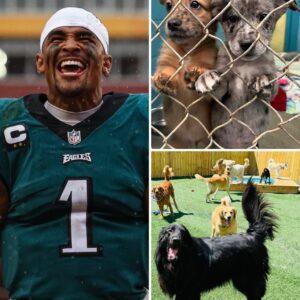 “Inside Jalen Hurts’ Bold $5 Million Mission to Build a 6-Acre Sanctuary That Could Change the Future of Animal Welfare—and Why the World Is Watching His Next Move” - nh