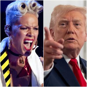 P!nk’s Electrifying Live-TV Clapback Leaves Trump Speechless as Studio ERUPTS in Chaos, Applause, and the Most Viral Moment of the Year -du