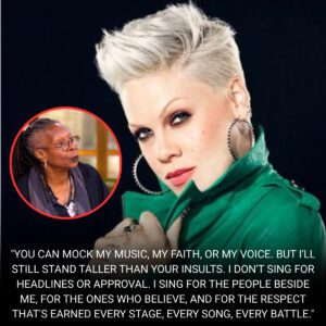 P!nk’s Unexpected On-Air Clash on The View Sparks Nationwide Uproar as One Jaw-Dropping Line Freezes the Entire Studio -du