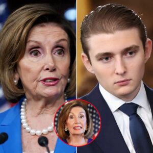 Barron Trump Silences Nancy Pelosi in 28 Seconds, Flipping Washington’s Power Dynamics and Leaving Everyone in the Room Stunned and Speechless_tl