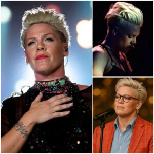 P!NK Breaks Down on Hollywood Bowl Stage, Cancels Final Tour Show, Stuns Fans with Heart-Melting Promise of Double Refunds -du