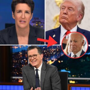 “Rachel Maddow Blows Up on Live TV, Exposes Trump’s ‘No Legal Effect’ Power Grab and Shocking Lies About America’s Real Affordability Crisis” - nh