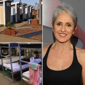 Joan Baez Donates $5 Million to Build Homeless Support Centers in Malibu — A Living Legend Puts Her Heart Into Action - th