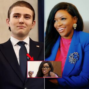 “In a whirlwind of unexpected alliances and explosive revelations, two high-profile political personalities ignite a fictional media firestorm that shakes the nation’s power corridors to their core.”_TL