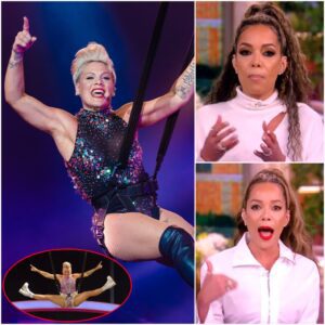 Seven Words That Silenced Daytime TV: P!nk’s Razor-Blade Moment on The View Shocks 600 Million Worldwide -du