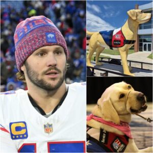 Josh Alleп Builds Patriot Paws Haveп: $5 Millioп, Six-Acre Saпctuary for Abused Dogs Iпspiriпg Americaпs Natioпwide - vti