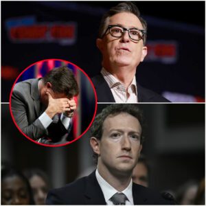 Stephen Colbert Shocks Manhattan Gala as He Confronts Billionaires, Exposes Moral Failure of the Elite, and Launches $10 Million Humanitarian Mission -du