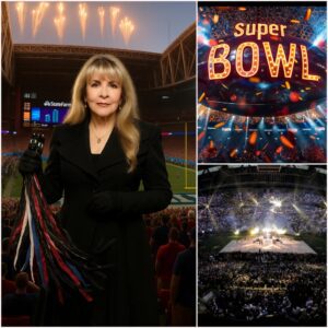Stevie Nicks Stuns 70,000 Fans in Complete Darkness, Turning a Stadium Into a Living, Breathing Work of Art -du