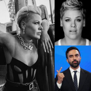 P!nk Breaks Silence on ‘Terrifying’ NYC Backstage Incident That Forces Her to Cancel All 2025–2026 Shows, Shockwaves Hit Industry -du