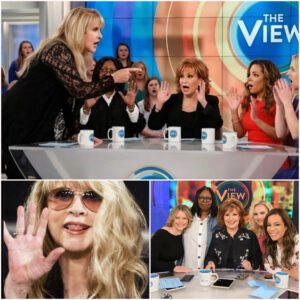 “ENOUGH, LADIES!” — Stevie Nicks Shocks ‘The View’ Into Silence After Calling Out Their Hypocrisy in a Stunning On-Air Showdown -du