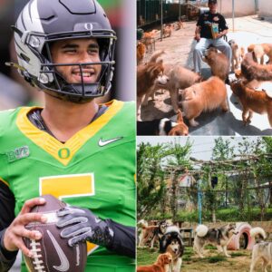 THE HEART-STOPPING MOVE THAT STUNNED ALL OF COLLEGE FOOTBALL: Dante Moore’s $5-Million Dog Sanctuary That Could Change America Forever and Redefine What a Champion Truly Is - tuta