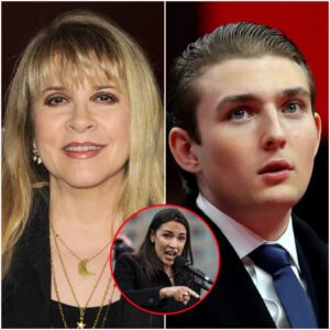 “Stevie Nicks Stuns Washington: Dismantles Viral Claims, Schools Everyone in Truth and Artistry in 30 Seconds -du