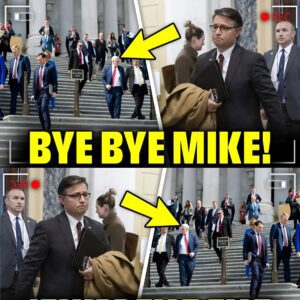 MIKE JOHNSON MELTS DOWN AS MASS GOP EXODUS TRIGGERS FULL REPUBLICAN COLLAPSE - TH
