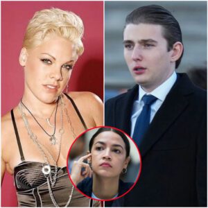 P!nk Obliterates Barron Trump’s ‘Receipts’: 30 Seconds, One Mic, and the Moment Washington Realized They Were Terribly Unprepared for Her -du
