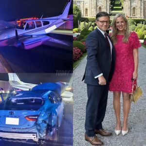 Emergency Landing on I-95 Leaves Political Spouse Critically Injured - th