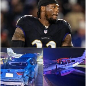 “A Heart-Shattering Moment No Athlete Could Ever Prepare For: Derrick Henry’s Family Member Fights for Life After Tragic Plane Emergency as Prayers, Fear, and Silence Surround the Hospital”-HTI