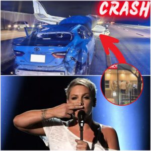 Highway Horror on I-95: Plane Slams Into Toyota Camry—Critically Injuring Passenger Reported to Be a Close Relative of Superstar P!nk -du