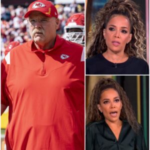 When the Laughter Died and Respect Took Over: The Shocking Moment Andy Reid Silenced National Television, Turning Mockery Into One of the Most Powerful Human Moments in Football History-hti