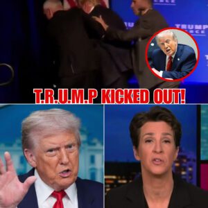 💥 LIVE TV MELTDOWN: Donald Trump Is Abruptly Kicked Off MSNBC Within Seconds After a Forbidden Topic Is Touched — His Furious “Dirty Lying Bastard” Explosion Leaves the Entire Studio Frozen in Shock - tuta