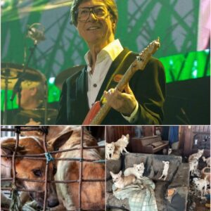 "Hank Marvin, The Guitar Legend the World Thought They Knew, Is Secretly Pouring Millions Into a Sanctuary That Heals the Silent, Forgotten Souls of Abandoned Dogs" - Tyta