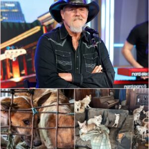 “Trace Adkins’ $5 Million Sanctuary for Abandoned Dogs in Tenerife Promises Healing, Music, and Unmatched Love — A Place Where Every Forgotten Animal Finds Peace and Family” - Tyta