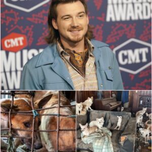 "Morgan Wallen, Country Music Superstar, Transforms a Remote Tenerife Sanctuary into a $5 Million Haven for Abandoned Dogs, Offering Healing, Music, and Unimaginable Love for Those Who Cannot Speak" - Tyta