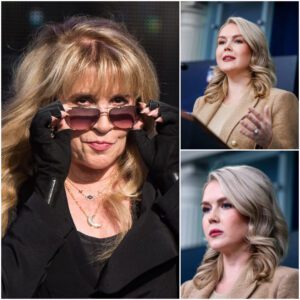 ‘Sit Down, Baby Girl’: Stevie Nicks Silences Karoline Leavitt Live on MSNBC in a Moment That Redefined Power, Relevance, and Legacy -du
