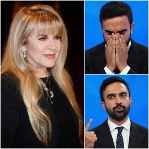 Stevie Nicks’ Sudden New York Exit Sparks Concert Revenue Collapse, Triggering Economic Shockwaves and Alarming Warnings Across the City’s Entertainment Industry -du